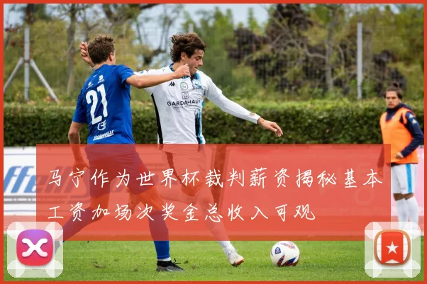马宁作为世界杯裁判薪资揭秘基本工资加场次奖金总收入可观