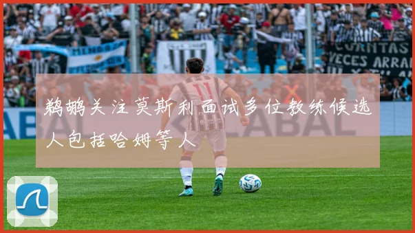 鹈鹕关注莫斯利面试多位教练候选人包括哈姆等人