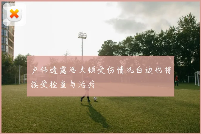 卢伟透露洛夫顿受伤情况白边也将接受检查与治疗